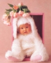 Profile picture for user Hanfi_Sunni_Sista