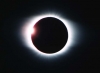 Profile picture for user Midnight