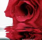 Profile picture for user kat khan